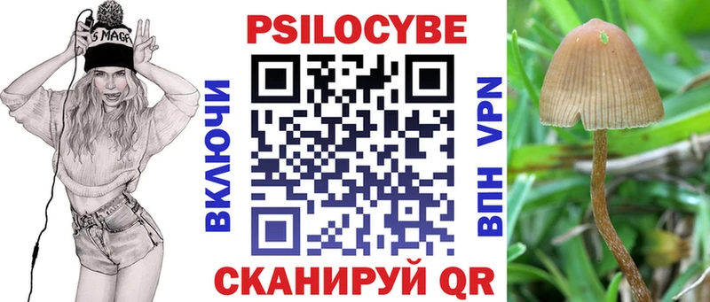 Галлюциногенные грибы GOLDEN TEACHER  Купить где  Кубинка 
